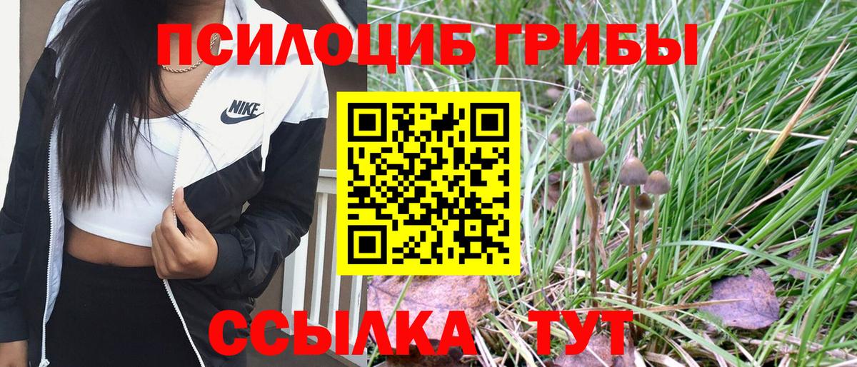 Галлюциногенные грибы мицелий Арзамас