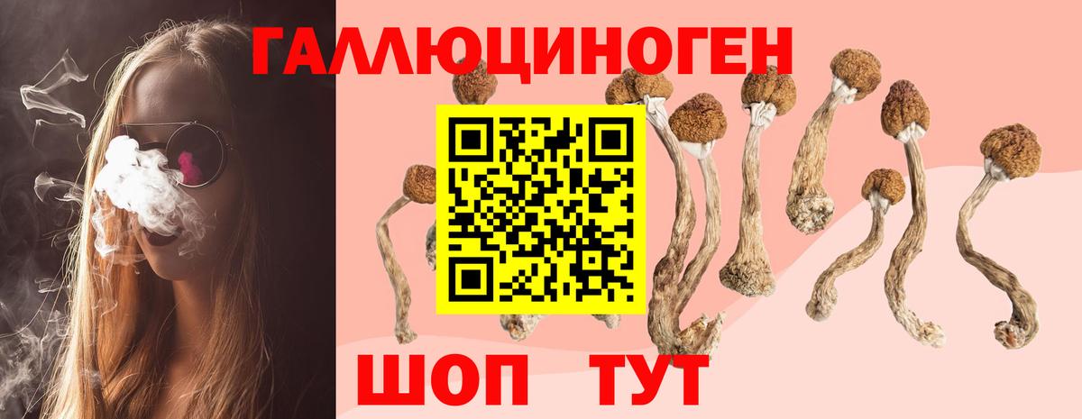 Галлюциногенные грибы Psilocybe  закладки  Арзамас  Вход с VPN  Псилоцибиновые грибы GOLDEN TEACHER 